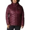 Columbia Joy Peak Hooded Jacket - Women's -Ski Equipment Discounts 1982672 671 f 2223fw