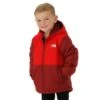 The North Face Reversible Mount Chimbo Full Zip Hooded Jacket - Youth -Ski Equipment Discounts FW23 TNF Boys ReversibleMountChimorazoJacket Cordovan Model1