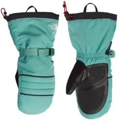 The North Face Montana Ski Mitt - Women's -Ski Equipment Discounts W TNF NF0A7RGX wasabi