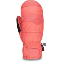 Dakine Fillmore Mitt - Men's - 2020 Model