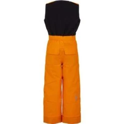 Spyder Expedition Pant - Toddler Boy's -Ski Equipment Discounts fw22 195086 823 b