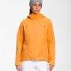 The North Face Clementine Triclimate Jacket - Women's -Ski Equipment Discounts fw22 TNF NF0A4R1U b orange 1