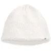 The North Face Ridge Fleece Beanie -Ski Equipment Discounts fw22 nf0a5fwc n3n hero