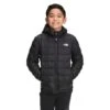 The North Face Thermoball Eco Hoodie - Boy's -Ski Equipment Discounts fw22 nf0a5gc5 jk3 hero