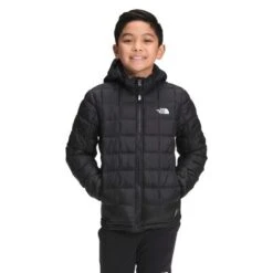 The North Face Thermoball Eco Hoodie - Boy's