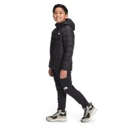 The North Face Thermoball Eco Hoodie - Boy's -Ski Equipment Discounts fw22 nf0a5gc5 jk3 model34