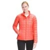 The North Face Thermoball Eco Jacket - Women's -Ski Equipment Discounts fw22 nf0a5gld v3s hero