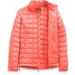 The North Face Thermoball Eco Jacket - Women's -Ski Equipment Discounts fw22 nf0a5gld v3s int