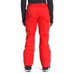 The North Face Chakal Pant - Men's -Ski Equipment Discounts fw22 nf0a5iyv 15q back