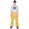 DC SHOES DC Banshee Pants - Men's -Ski Equipment Discounts fw23 dc mensbansheepants bronzemist