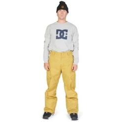 DC SHOES DC Banshee Pants - Men's