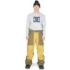 DC SHOES DC Squadron 45k Pant - Men's -Ski Equipment Discounts fw23 dc menssquadron45kpant bronzemist