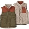 Patagonia Reversible Bivy Down Vest - Men's