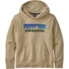 Patagonia LW Graphic Hoody Sweatshirt - Youth -Ski Equipment Discounts fw23 patagonia youthlwgraphichoodysweatshirt elcapkhaki