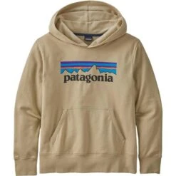 Patagonia LW Graphic Hoody Sweatshirt - Youth