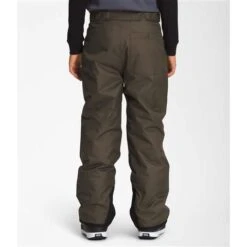 The North Face Freedom Insulated Pant - Boy's -Ski Equipment Discounts nf0a7wp7 21l 03 22 23